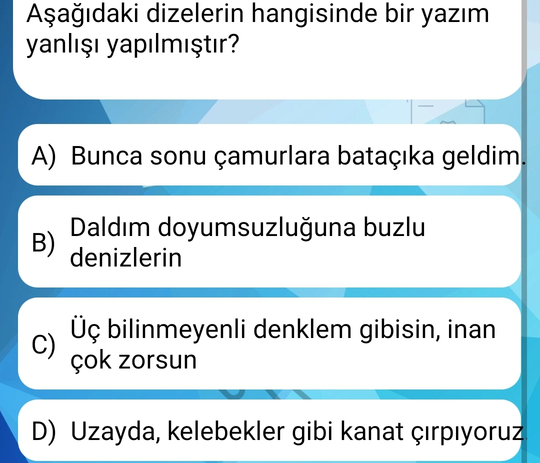 Soru Görseli